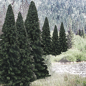 Woodland Scenics 1585 Evergreen Tree Value Pack - Ready Made Trees - Fir 