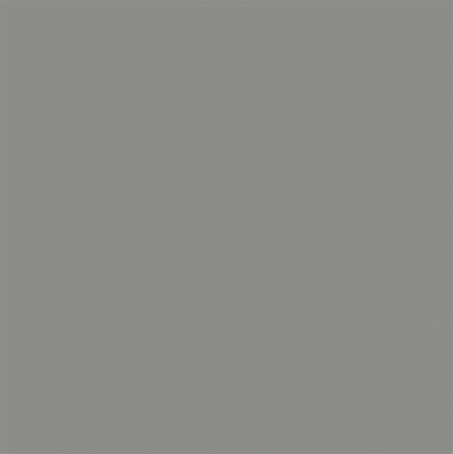Tru Color Paint 855 - Flat Brushable Acrylic - Weathered Gray Wood - 1oz