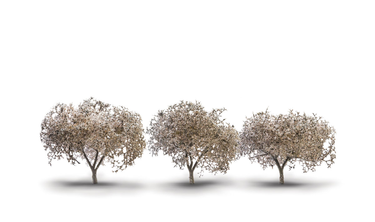 Woodland Scenics 3594 - All Scale Classic Trees - Ready Made - Cherry Blossom Trees, 1-3/4 - 2-1/4 inches (3pk)
