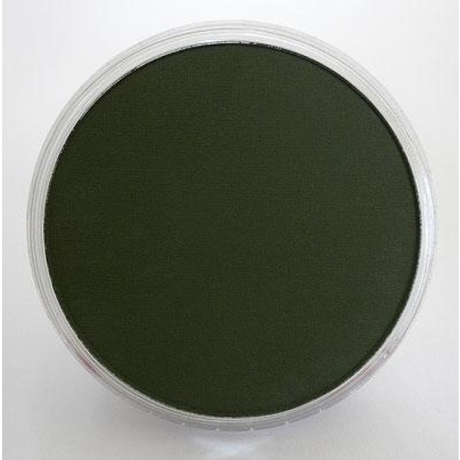 Panpastel 26603 Model & Miniature Color: 9ml pan (D) Chromium Oxide Green Shade Dark