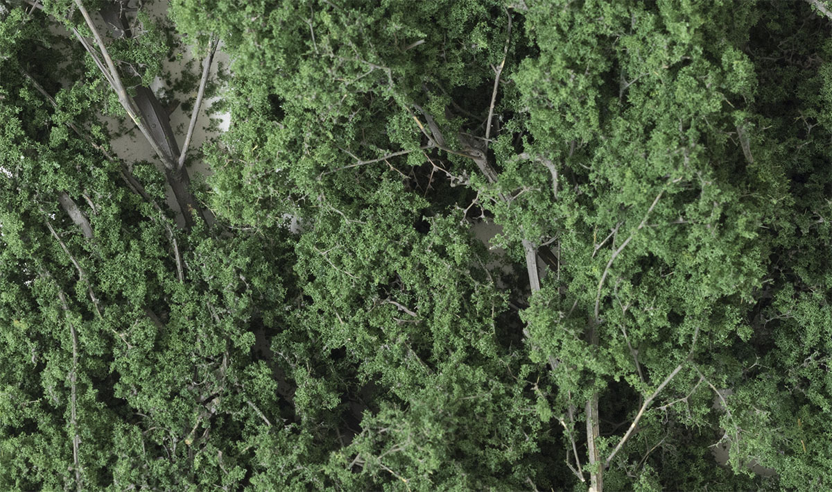Woodland Scenics 1130 - Fine-Leaf Foliage - Dark Green (75 in3)