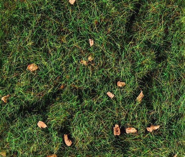 Peco PSG-415 - 4mm Static Grass - Summer Alpine Grass (20g)