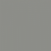 Tru Color Paint 855 - Flat Brushable Acrylic - Weathered Gray Wood - 1oz