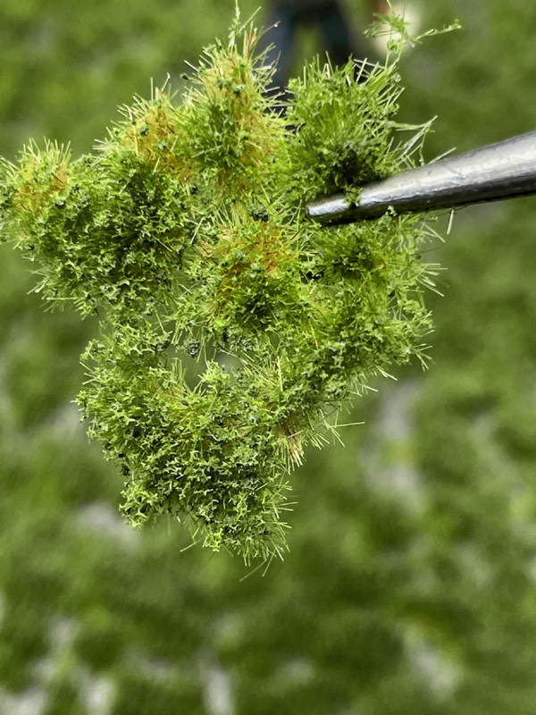 Martin Welberg Scenic Studios WB-PW222 - 2mm Multi-Layered Summer Tufts with Weeds
