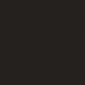 Tru Color Paint 1001 - Acrylic - Dull Black #82 - 1oz