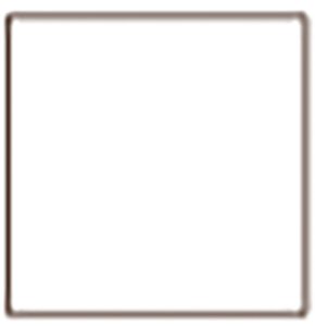 Tru Color Paint 005 - Acrylic -White - 1oz