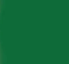Tru Color Paint 387 - Acrylic - GO Transit Dark Green - 1oz