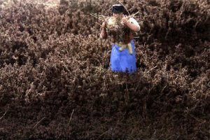 Martin Welberg Scenic Studios WB-SEFB - HIGH -FALL BROWN THICKET TYPE 'E'