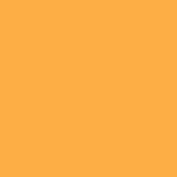 Tru Color Paint 138 - Acrylic Paint - Dakota, Minnesota & Eastern/ Iowa, Chicago & Eastern Yellow...
