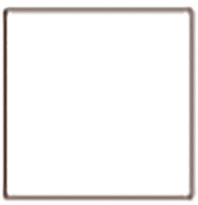 Tru Color Paint 005 - Acrylic -White - 1oz