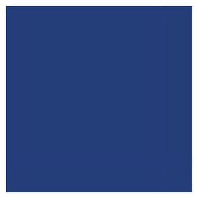 Tru Color Paint 137 - Acrylic Paint - Dakota, Minnesota & Eastern/ Iowa, Chicago & Eastern Blue (...