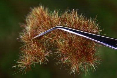 Martin Welberg Scenic Studios WB-P605 - 6mm GOLDEN GRASS TUFTS/SINGLE PACK