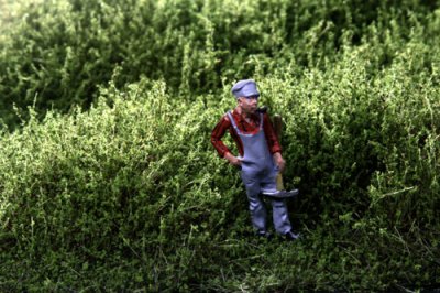 Martin Welberg Scenic Studios FL/SASG - Bushes - Type A - Spring Green - 20-30mm