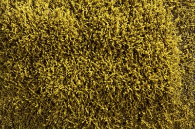Martin Welberg Scenic Studios WB-SEM - HIGH - MOSS GREEN THICKET TYPE 'E'
