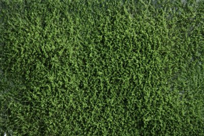 Martin Welberg Scenic Studios WB-SFSG - LOW - SPRING GREEN THICKET TYPE "F"