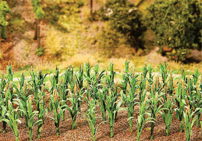 Faller 181250 - Corn Stalks -- Kit pkg(36)