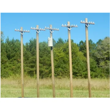 Show Case Miniatures 23012 - HO Scale HO 40 Ft. Power Pole Set