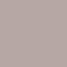 Tru Color Paint 136 - Acrylic - CN Lettering Gray 1oz