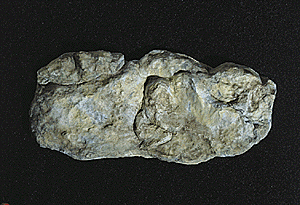 Woodland Scenics 1242 - Rock Molds -- Washed Rock