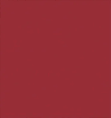 Tru-Color Paint 457 - Matte Rust Generic 1 oz