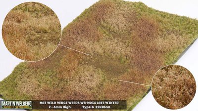 Martin Welberg Scenic Studios WB-M034 - Verge - Wild Verge Winter Weeds G
