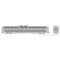 Rapido 16301 - HO Budd RDC-1 + RDC-2 (DC/Silent): AT&SF - As Delivered: DC-191 + DC-192