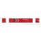 Rapido 1141003 - HO 53' Outside-Braced Container (2-pack): Ferromex - Maroon Arrows