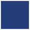 Tru Color Paint 137 - Acrylic Paint - Dakota, Minnesota & Eastern/ Iowa, Chicago & Eastern Blue (...