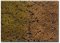 Martin Welberg Scenic Studios WB-PW605 - 6mm GOLDEN SUMMER TUFTS WITH WEEDS/1 SHEET