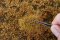 Martin Welberg Scenic Studios WB-PW605 - 6mm GOLDEN SUMMER TUFTS WITH WEEDS/1 SHEET