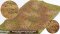 Martin Welberg Scenic Studios WB-M034 - Verge - Wild Verge Winter Weeds G