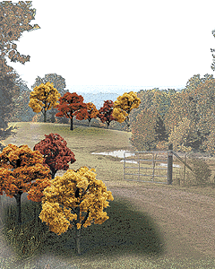 Woodland Scenics 1576 Ready Made Realistic Trees Value Pack - Deciduous Fall Colors