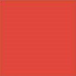 Tru Color Paint 042 - Acrylic - Guilford Orange - 1oz