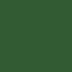 Tru Color Paint 023 - Acrylic - CP Rail Action Green - 1oz