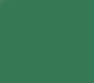 Tru Color Paint 382 - Acrylic - Ontario Northland Dark Green - 1oz 