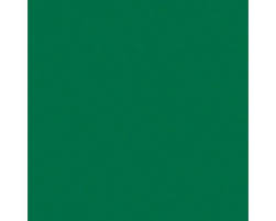Tru Color Paint 067 - Acrylic -BN Cascade Green- 1oz