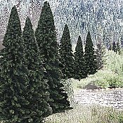 Woodland Scenics 1585 Evergreen Tree Value Pack - Ready Made Trees - Fir 
