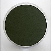 Panpastel 26603 Model & Miniature Color: 9ml pan (D) Chromium Oxide Green Shade Dark