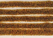 Peco PSG-37 - High Self Adhesive Wild Meadow Grass Tuft Strips - 6mm (10 strips)