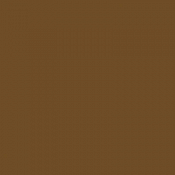 Tru Color Paint 349 - Acrylic - Seasoned Brown Wood- 1oz