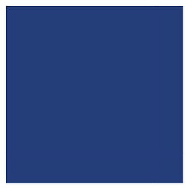 Tru Color Paint 137 - Acrylic Paint - Dakota, Minnesota & Eastern/ Iowa, Chicago & Eastern Blue (...