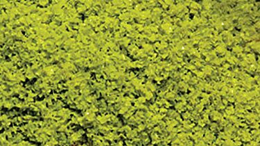 Scenic Express 6112 - Leaf Flakes - Shaker 16oz - Light Green