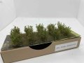 Martin Welberg Scenic Studios -  SAR - Bushes Type A Red