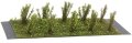 Martin Welberg Scenic Studios WB-SBLG - Bushes (type B), light green - 3cm-4cm - 10 pcs
