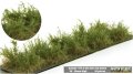 Martin Welberg Scenic Studios WB-SDFG - Bushes - Type D - Fir Green