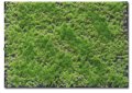 Martin Welberg Scenic Studios WB-P241 - Multi-Layered Tufts - Spring Tone 2-4mm