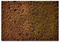 Martin Welberg Scenic Studios MB-PW405 - Tufts - Golden Summer w/ Weeds - 4.5 mm
