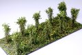 Martin Welberg Scenic Studios MB-SBG - Bushes - Yellow - Type B - 3cm-4cm - 10 pcs