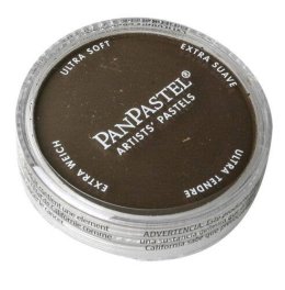 Panpastel 27401 - Color Powder -- Burnt Sienna Extra Dark
