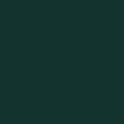 Tru Color Paint 102 - Acrylic - Maine Central Pine Green 1oz